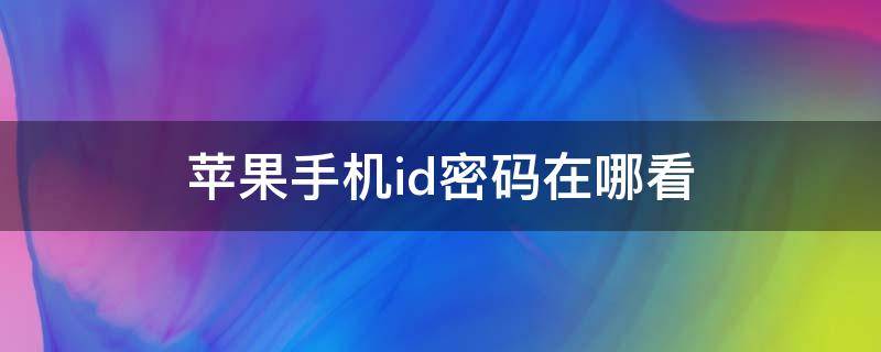 苹果手机id密码在哪看（苹果手机id密码在哪里）