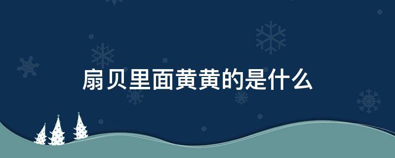 扇贝里面黄黄的是什么（扇贝上黄黄的是什么）