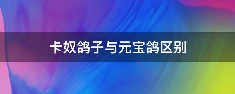 卡奴鸽子与元宝鸽区别（卡奴鸽子和元宝鸽子照片）