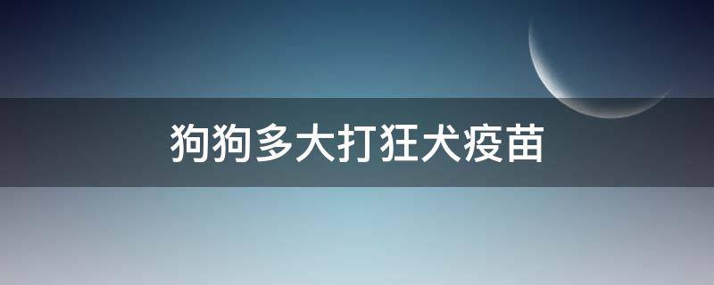 狗狗多大打狂犬疫苗 狗狗多大打狂犬疫苗怎么打,有效期多久