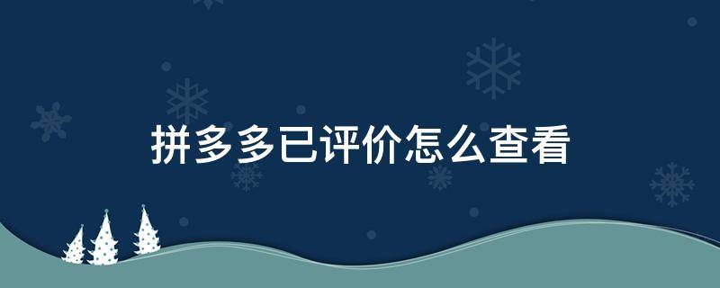 拼多多已评价怎么查看（拼多多怎么查看已经评价的信息）