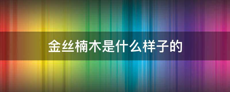 金丝楠木是什么样子的 金丝楠木到底是什么木