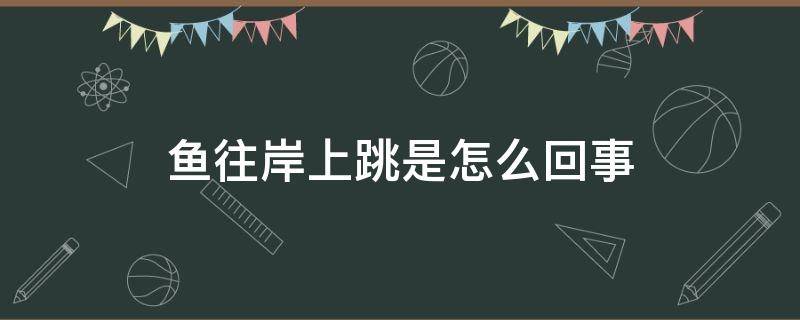 鱼往岸上跳是怎么回事 鱼跳上岸是什么情况