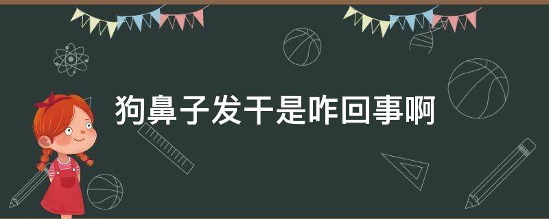 狗鼻子发干是咋回事啊（狗鼻子发干是咋回事啊流口水）