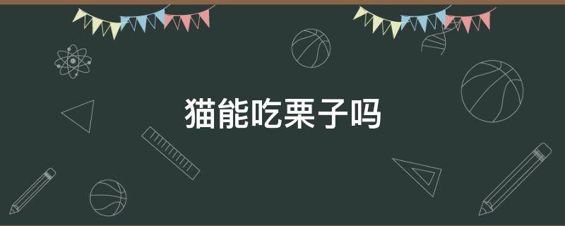 猫能吃栗子吗 猫能吃栗子吗为什么