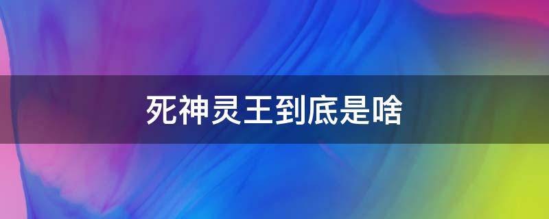 死神灵王到底是啥 死神灵王到底是什么