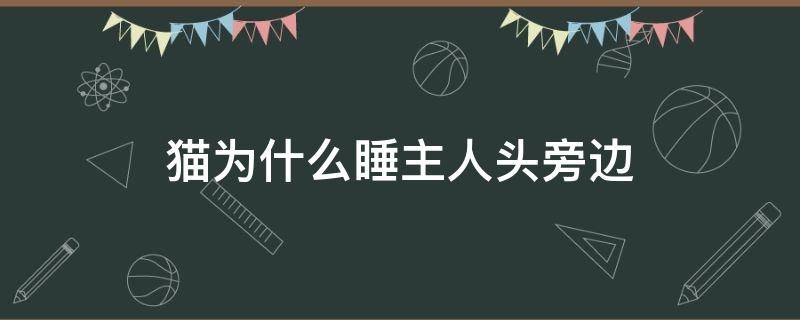 猫为什么睡主人头旁边（猫为什么喜欢睡在主人头旁边）