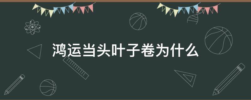 鸿运当头叶子卷为什么（鸿运当头叶子卷起来是什么原因）