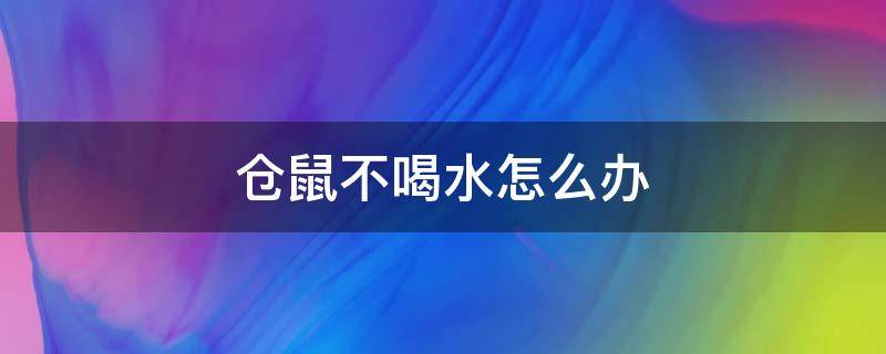 仓鼠不喝水怎么办（银狐仓鼠不喝水怎么办）