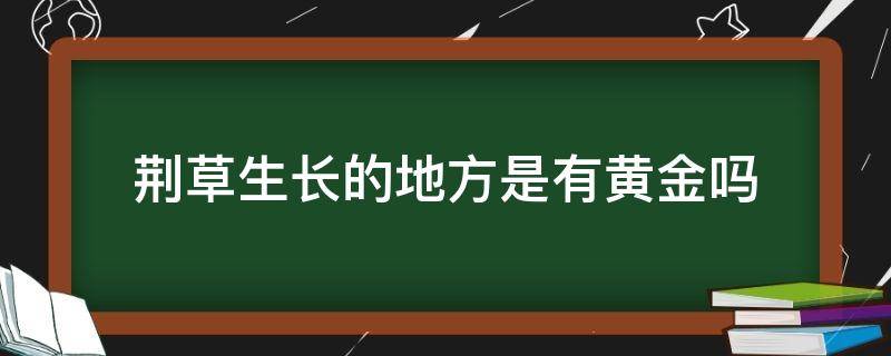 荆草生长的地方是有黄金吗（哪种荆草生长的地方是有黄金吗）