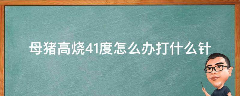 母猪高烧41度怎么办打什么针（母猪发烧41度打什么退烧）