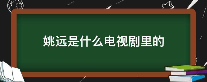 姚远是什么电视剧里的（姚远是什么电视剧里的人物）