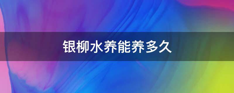 银柳水养能养多久（银柳干养水养哪个长久）