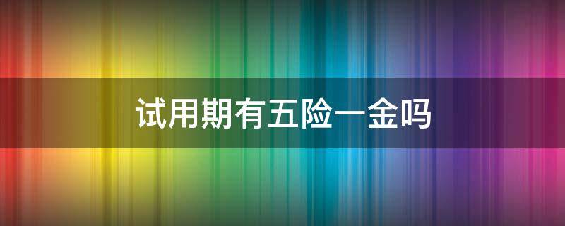 试用期有五险一金吗（国企员工试用期有五险一金吗）