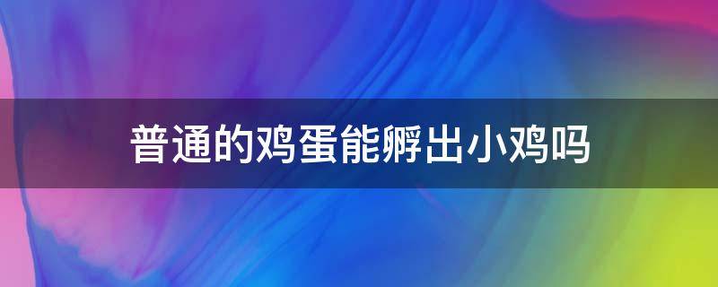 普通的鸡蛋能孵出小鸡吗 鸡蛋能孵出来小鸡吗