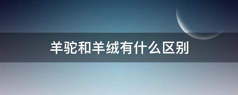 羊驼和羊绒有什么区别 羊驼绒和羊驼毛的区别