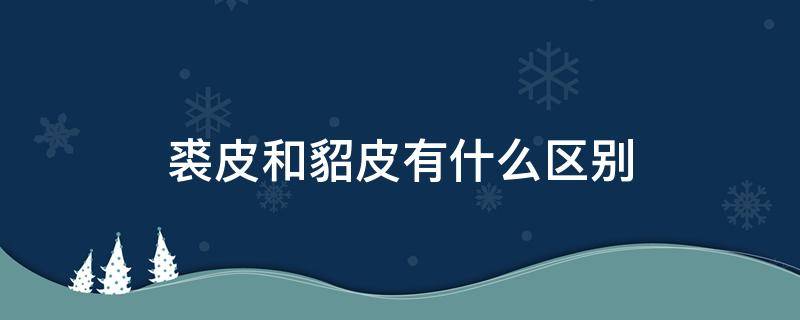 裘皮和貂皮有什么区别 裘皮与貂的区别