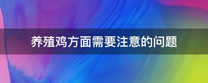 养殖鸡方面需要注意的问题（养殖鸡需要具备哪些条件）