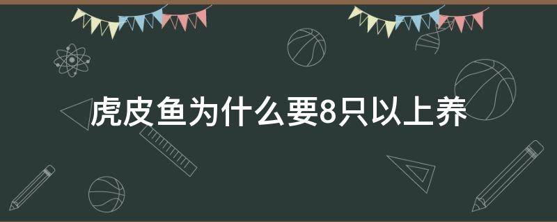 虎皮鱼为什么要8只以上养（养一条小型虎皮鱼它会孤单吗）