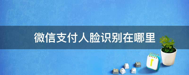 微信支付人脸识别在哪里 微信支付人脸识别在哪里没有怎么办