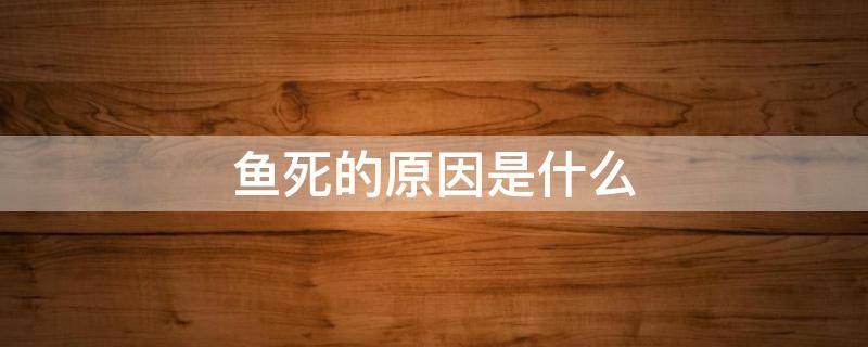 鱼死的原因是什么（导致鱼死亡的原因是什么）