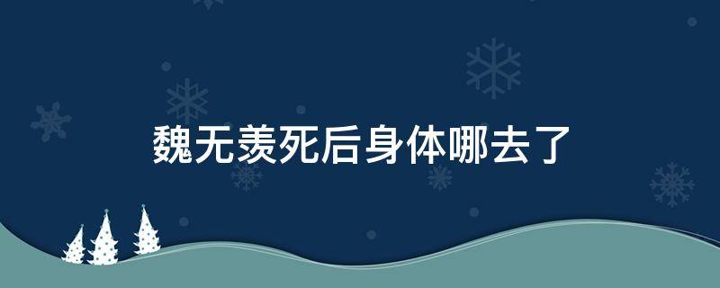 魏无羡死后身体哪去了 魏无羡死后在哪里