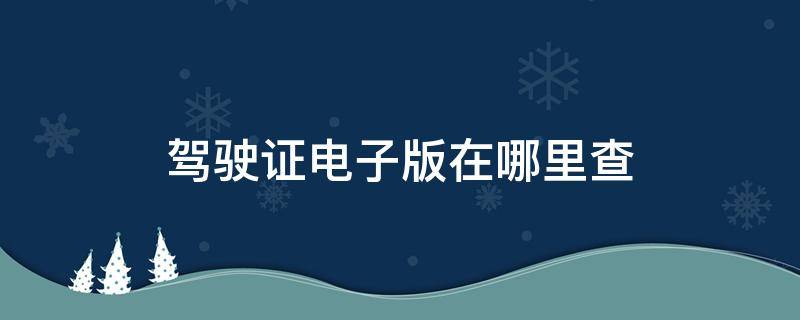 驾驶证电子版在哪里查（支付宝驾驶证电子版在哪里查）