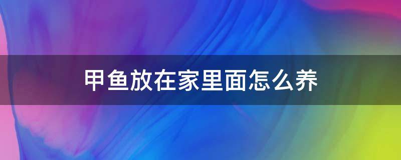 甲鱼放在家里面怎么养 甲鱼放在家里面怎么养,吃什么