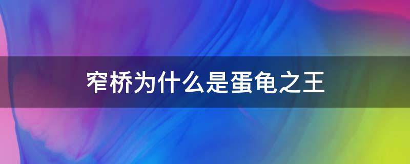 窄桥为什么是蛋龟之王（巨头蛋龟和窄桥蛋龟）