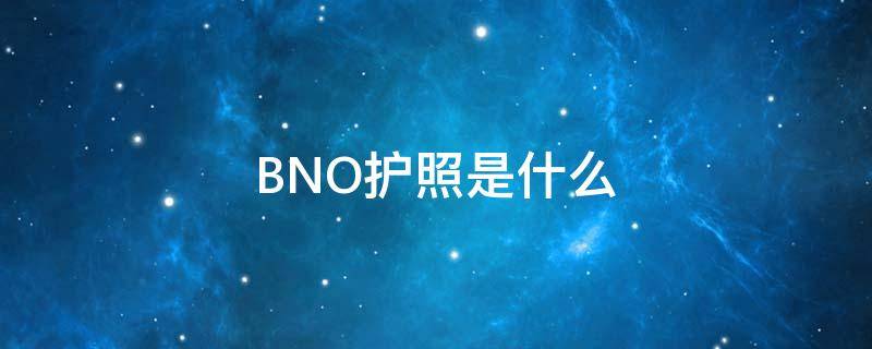 BNO护照是什么（bno护照是什么意思 新闻）