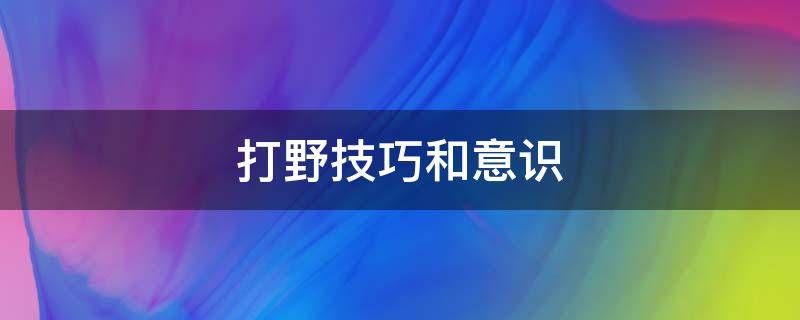 打野技巧和意识 打野思路和意识