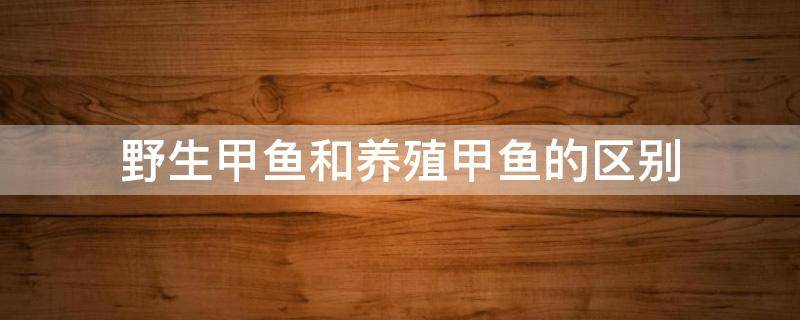 野生甲鱼和养殖甲鱼的区别 野生甲鱼和养殖甲鱼的区别?