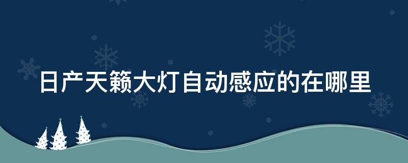 日产天籁大灯自动感应的在哪里 天籁自动大灯感应灵敏度怎么调