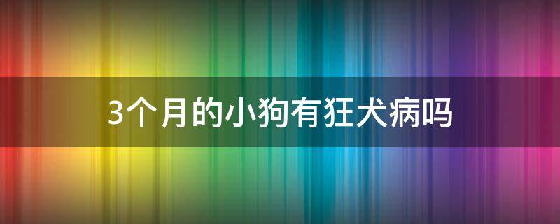 3个月的小狗有狂犬病吗 三个月的狗有狂犬病吗