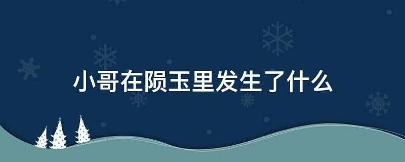 小哥在陨玉里发生了什么 小哥在陨玉里面发生了什么