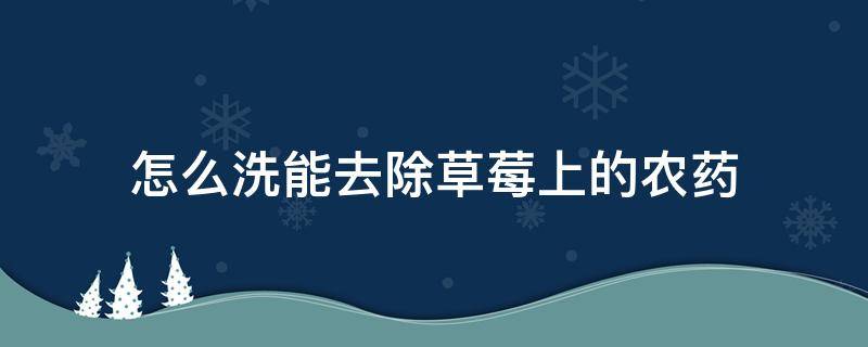 怎么洗能去除草莓上的农药 怎么洗草莓能把农药残留洗掉