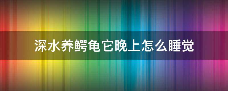 深水养鳄龟它晚上怎么睡觉（鳄鱼龟晚上需要睡觉吗）