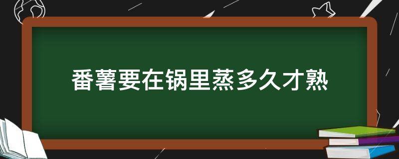 番薯要在锅里蒸多久才熟（番薯蒸多久熟透）