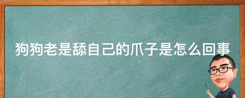 狗狗老是舔自己的爪子是怎么回事（狗狗为啥老舔自己的爪子）