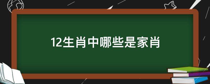 12生肖中哪些是家肖（十二生肖中的家肖有哪些）