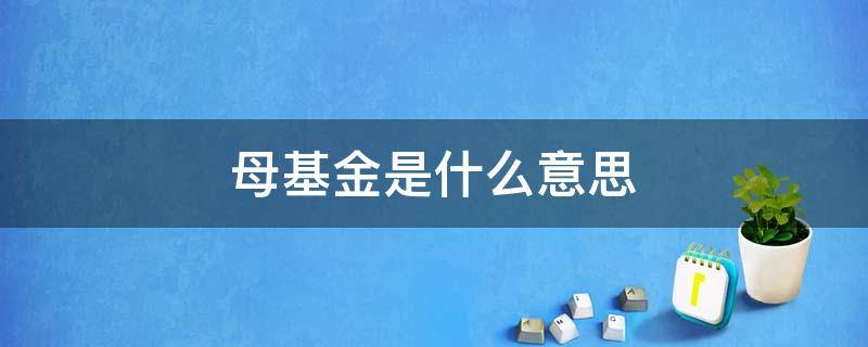 母基金是什么意思 产业母基金是什么意思