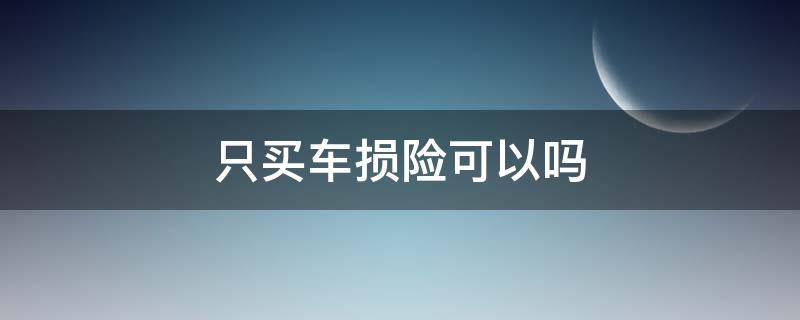 只买车损险可以吗（买车险可以不买车损险吗）