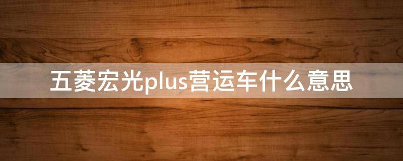 五菱宏光plus营运车什么意思（五菱宏光plus营运车与标准车的区别）