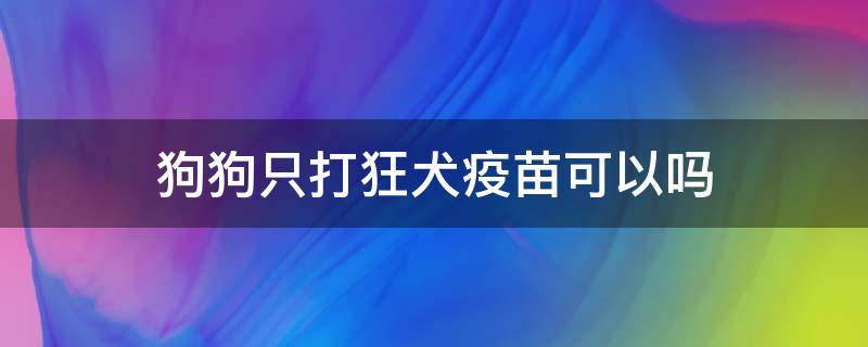 狗狗只打狂犬疫苗可以吗 狗只打了狂犬疫苗可以么