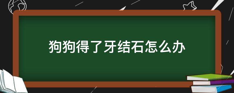 狗狗得了牙结石怎么办（狗狗得了牙结石怎么办?）