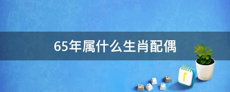 65年属什么生肖配偶 65年属什么生肖婚配表