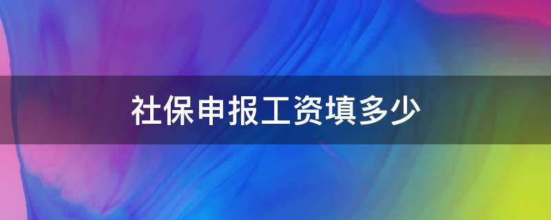 社保申报工资填多少 网上申报社保工资填多少