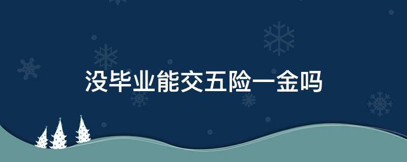 没毕业能交五险一金吗 中专毕业 大专没毕业能交五险一金吗