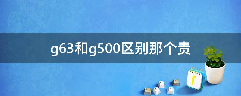 g63和g500区别那个贵（G63和G500哪个贵）