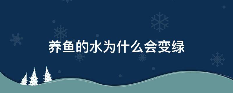 养鱼的水为什么会变绿（养鱼的水为什么会变绿?）